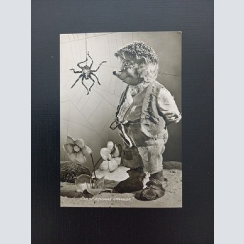 Einer Spinnt Immer Gebrüder Diehl 400612 Gr