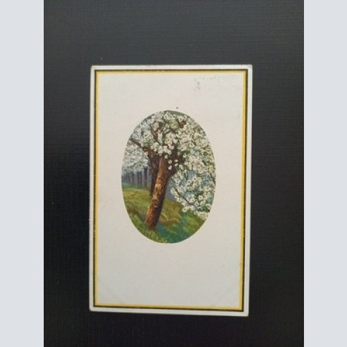 Deutscher Frühling 500126D Gr