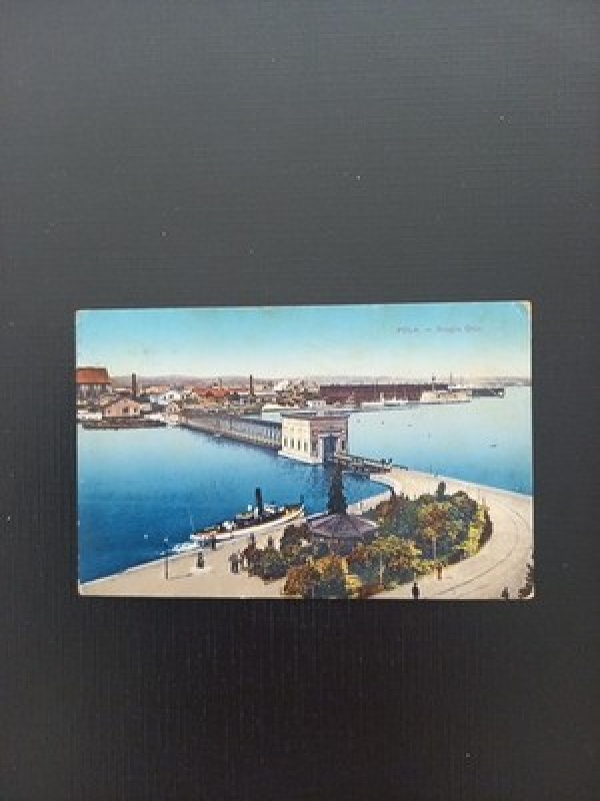 Pola Scoglio Olivi Kroatien Gr