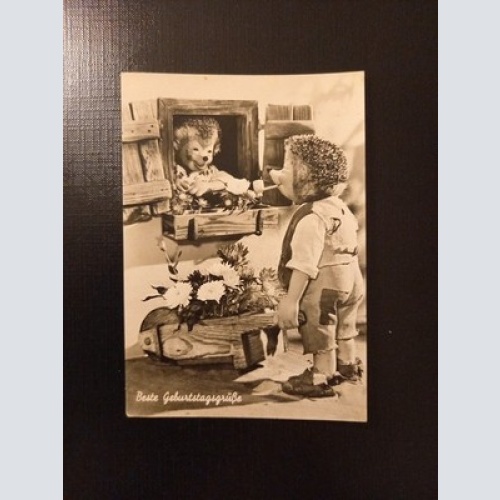 Diejl 2 Igel Beste Geburtstagsgrüße 400600 Gr