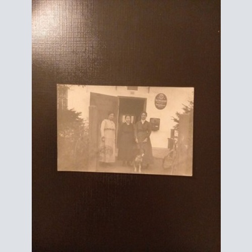 Drei Frauen Und Hund Gr