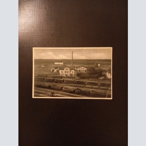 Vassowska Sägewerk Polen Gr