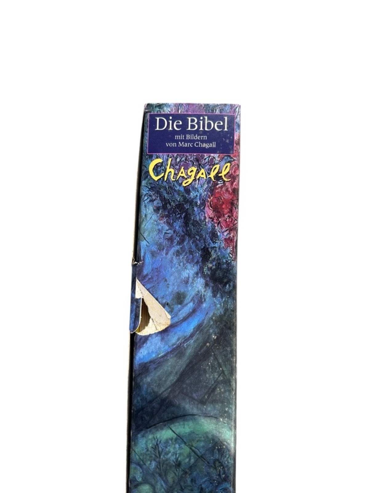 Die Heilige Schrift des Alten und Neuen Testamentes nach den Grundtexten übers.