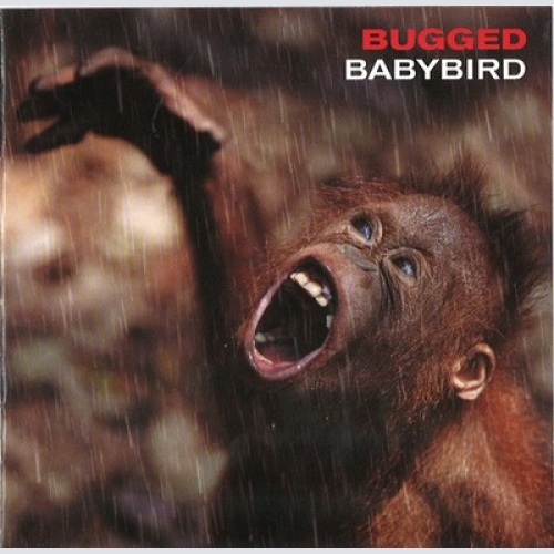 CD, Album Babybird - Bugged