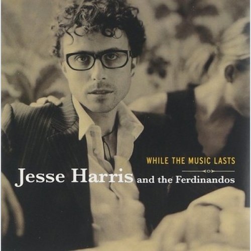 CD, Album Jesse Harris & The Ferdinandos - While The Music Lasts