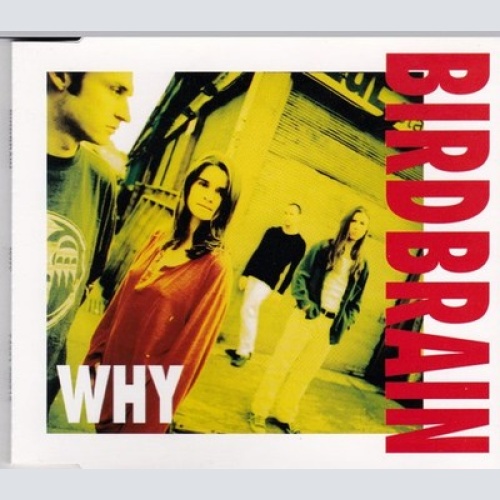 CD, Single Birdbrain (3) - Why