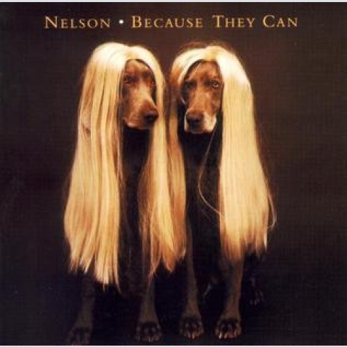 CD, Album Nelson (4) - Because They Can