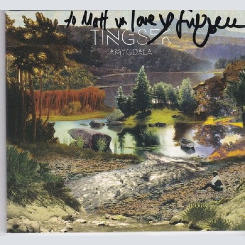 CD, Album, Dig Tingsek - Amygdala