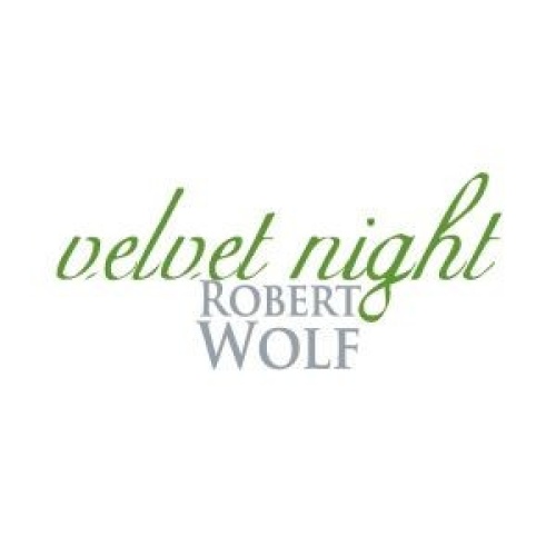 CD, Album Robert Wolf - Velvet Night