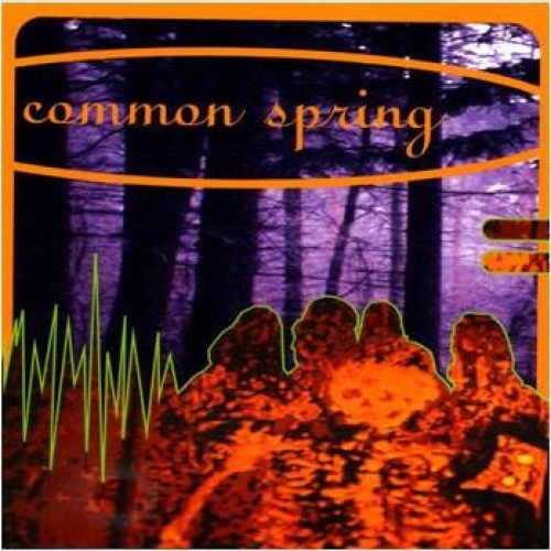 CD, Album The Common Spring - Common Spring
