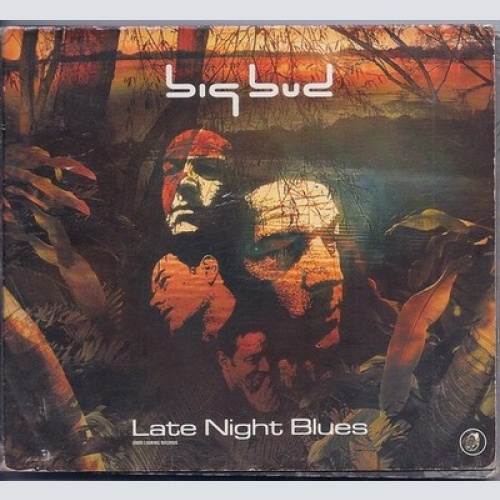2xCD, Album, P/Mixed, Dig Big Bud - Late Night Blues