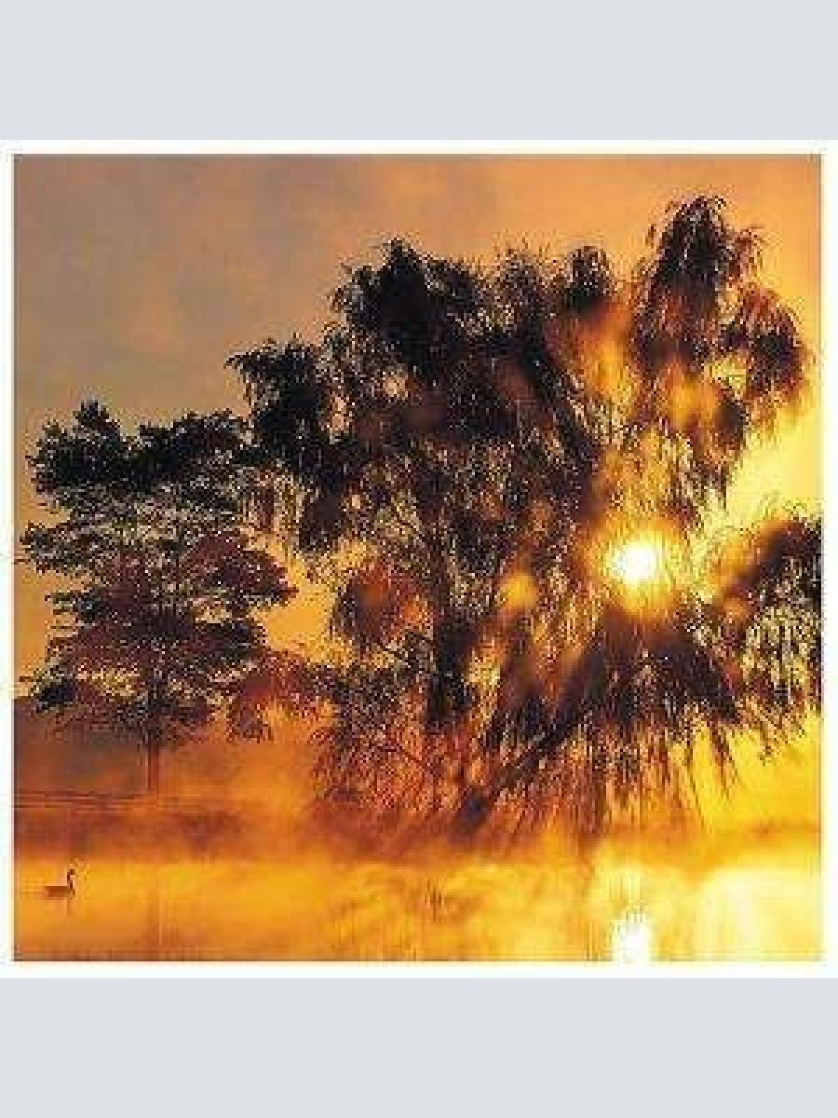 2xCD, Comp Various - Silent Memories