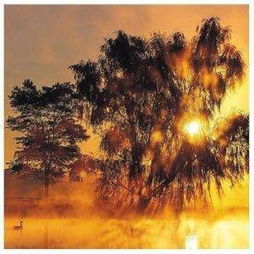 2xCD, Comp Various - Silent Memories