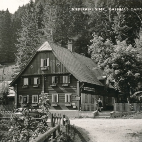 AK aus Niederalpl Gasthaus Gamsjäger Steiermark Ansichtskarte (18554)