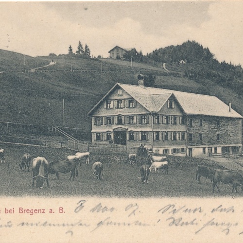 AK aus Pfänderdohle bei Bregenz Vorarlberg Ansichtskarte (18587)