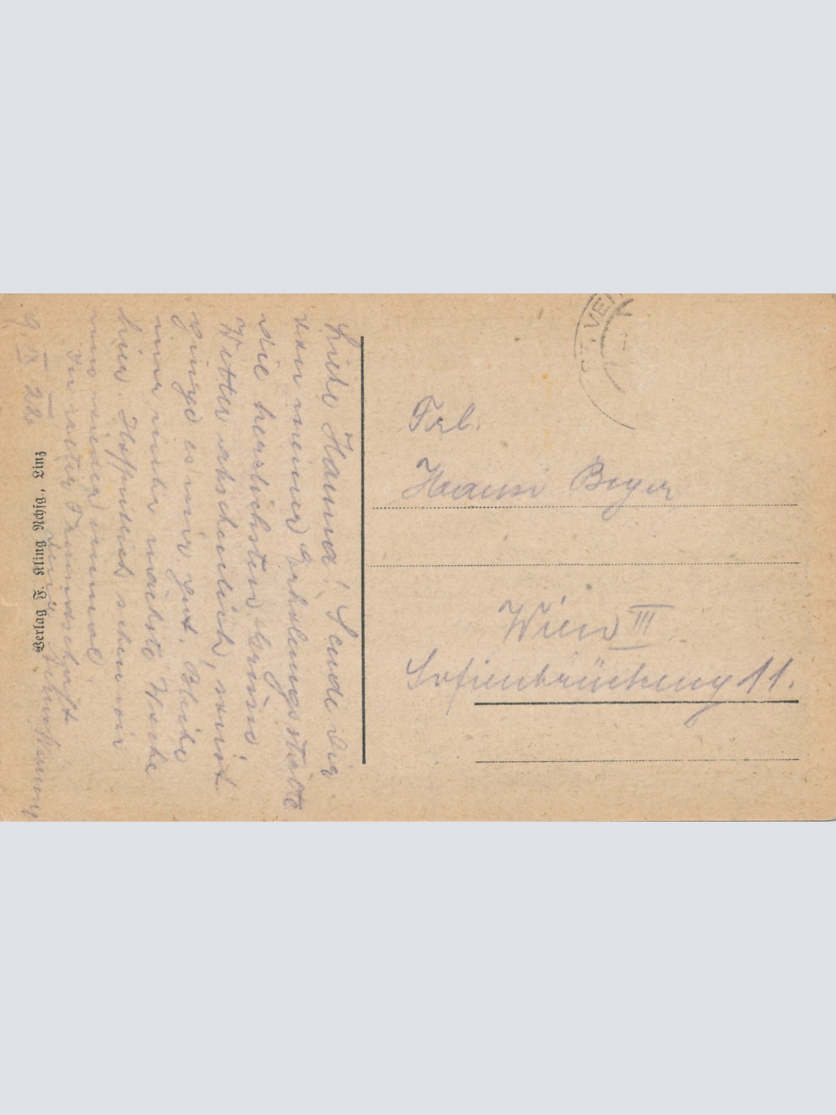 AK aus St. Veit Oberösterreich Ansichtskarte (18589)