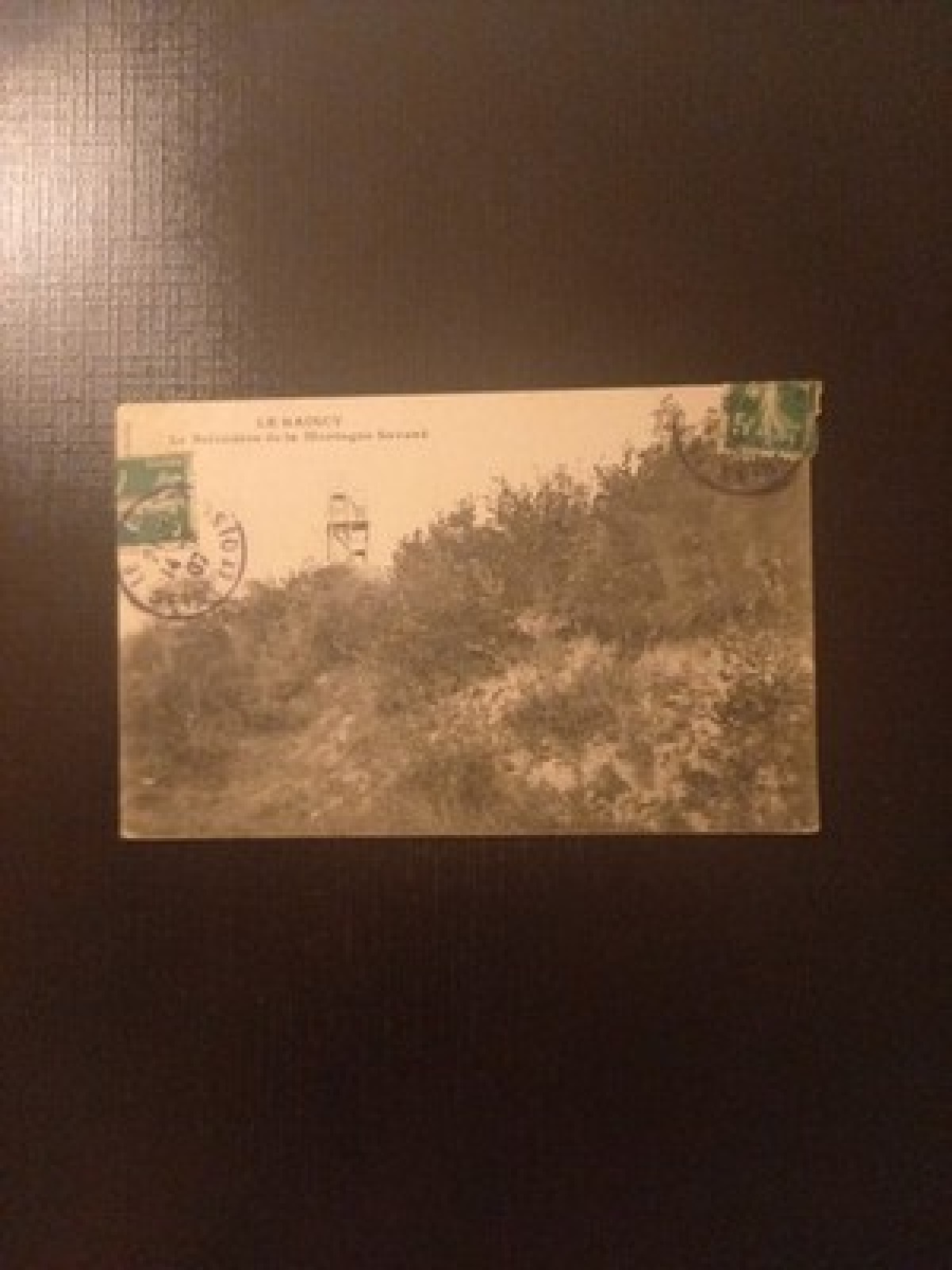 Le Raincy Le Belvedere De La Montagne Savard Gr