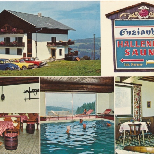 AK aus Ligist Enzianhof Steiermark Ansichtskarte (18676)