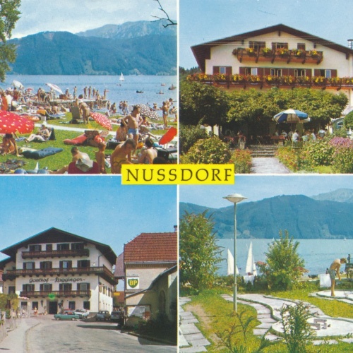 AK aus Nussdorf am Attersee Oberöst. Ansichtskarte (18687)