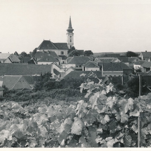 AK aus Gr. Riedental Niederösterreich Ansichtskarte (18747)