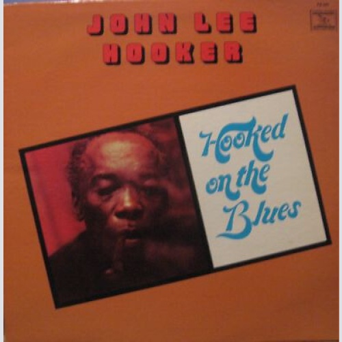 John Lee Hooker - Hooked On The Blues (LP)