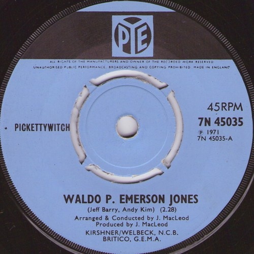 Pickettywitch - Waldo P. Emerson Jones (7")