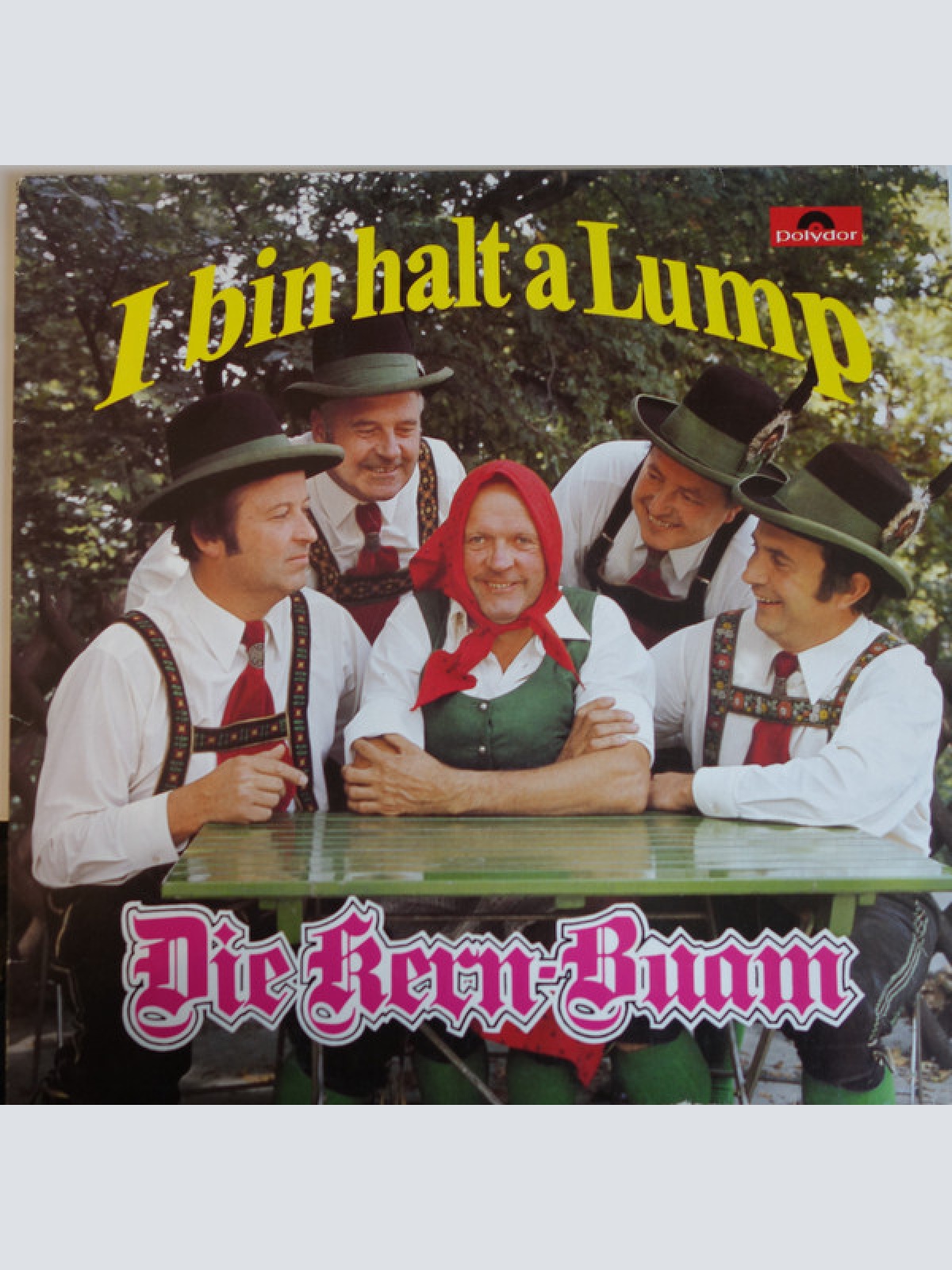 Die Kern Buam - I Bin Halt A Lump (LP, Album, Club)