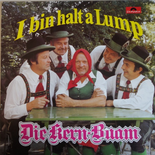 Die Kern Buam - I Bin Halt A Lump (LP, Album, Club)