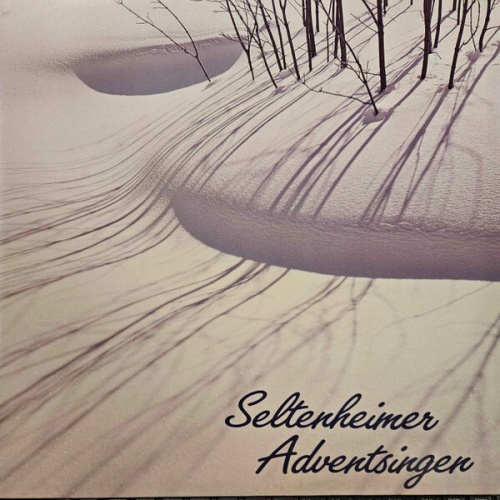 Singkreis Seltenheim* - Seltenheimer Adventsingen (LP)