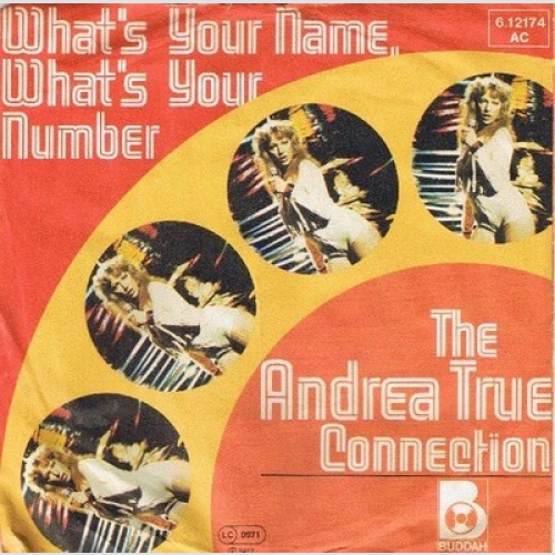 The Andrea True Connection* - What's Your Name, What's Your Number (7", Single)