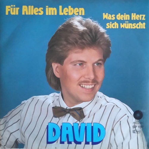 David (27) - Für Alles Im Leben (7", Single)