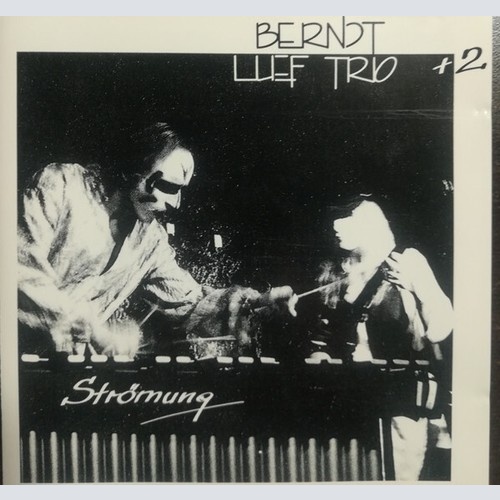 Berndt Luef Trio - Strömung (CD, Album)
