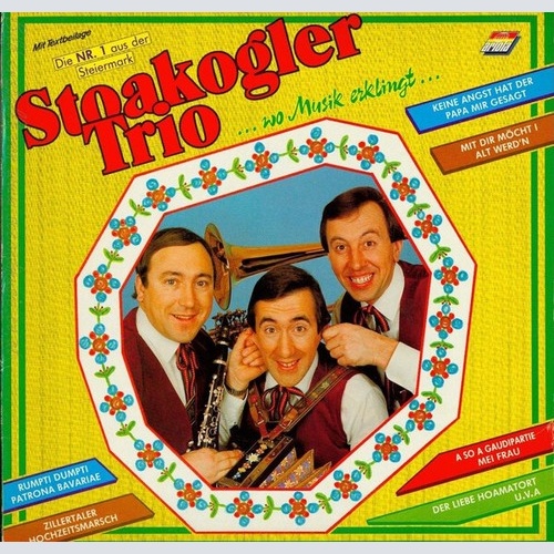 Stoakogler Trio - Wo Musik Erklingt (LP, Album)