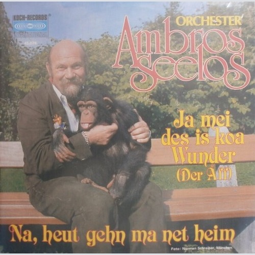 Orchester Ambros Seelos - Ja Mei Des Is Koa Wunder (7", Single)