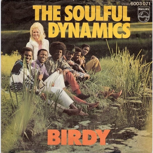 The Soulful Dynamics* - Birdy (7", Single)