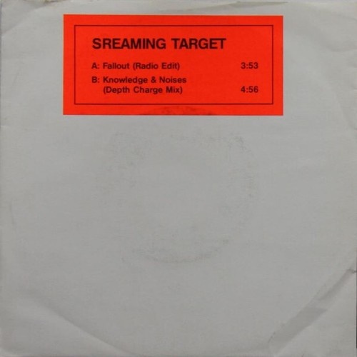 Screaming Target - Fallout / Knowledge & Noises (7")