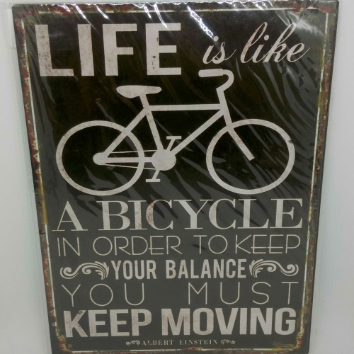 Nostalgie Retro Schild "Life is like a bicycle" 35x26 50243