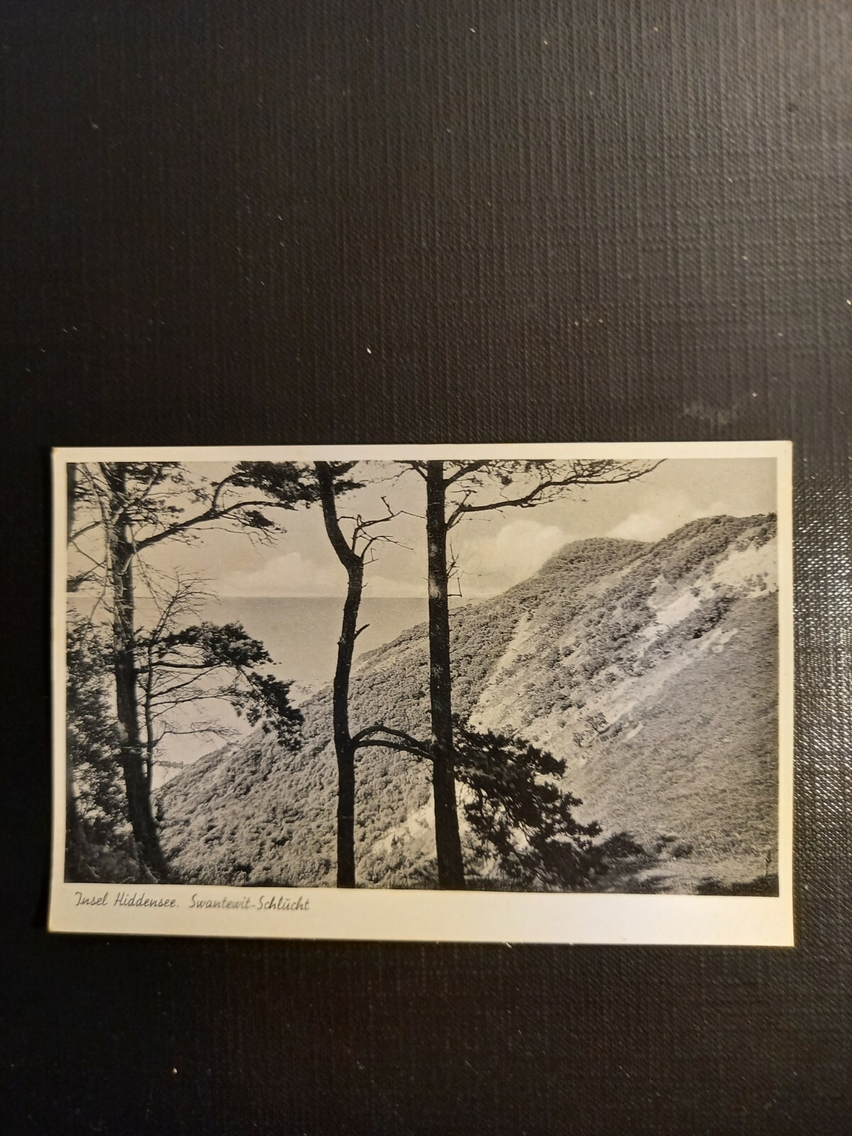 Insel Hiddensee, Swantewit Schlucht 400051 gr