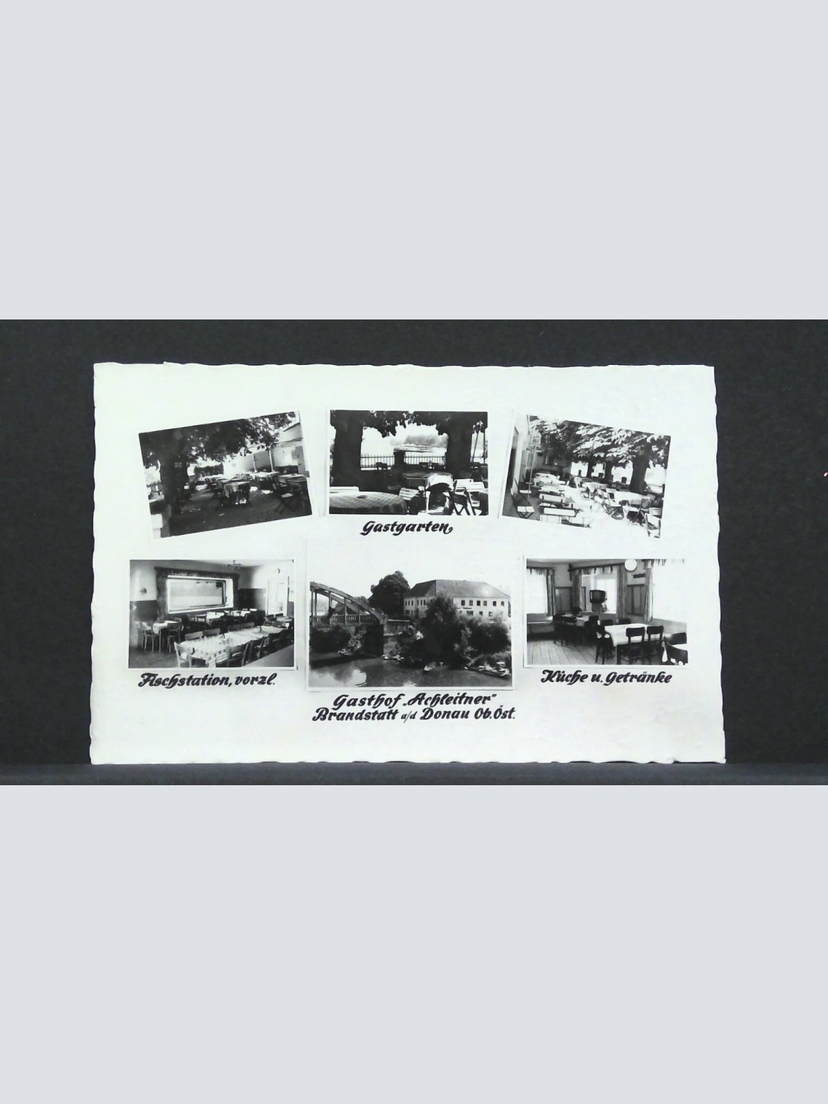 Brandstatt an der Donau Gasthof Achleitner Gastgarten JW 0189 F