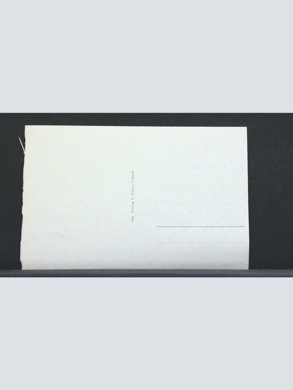 Nordseebad Norderney Möwe im Flug Meer JW 400995 F