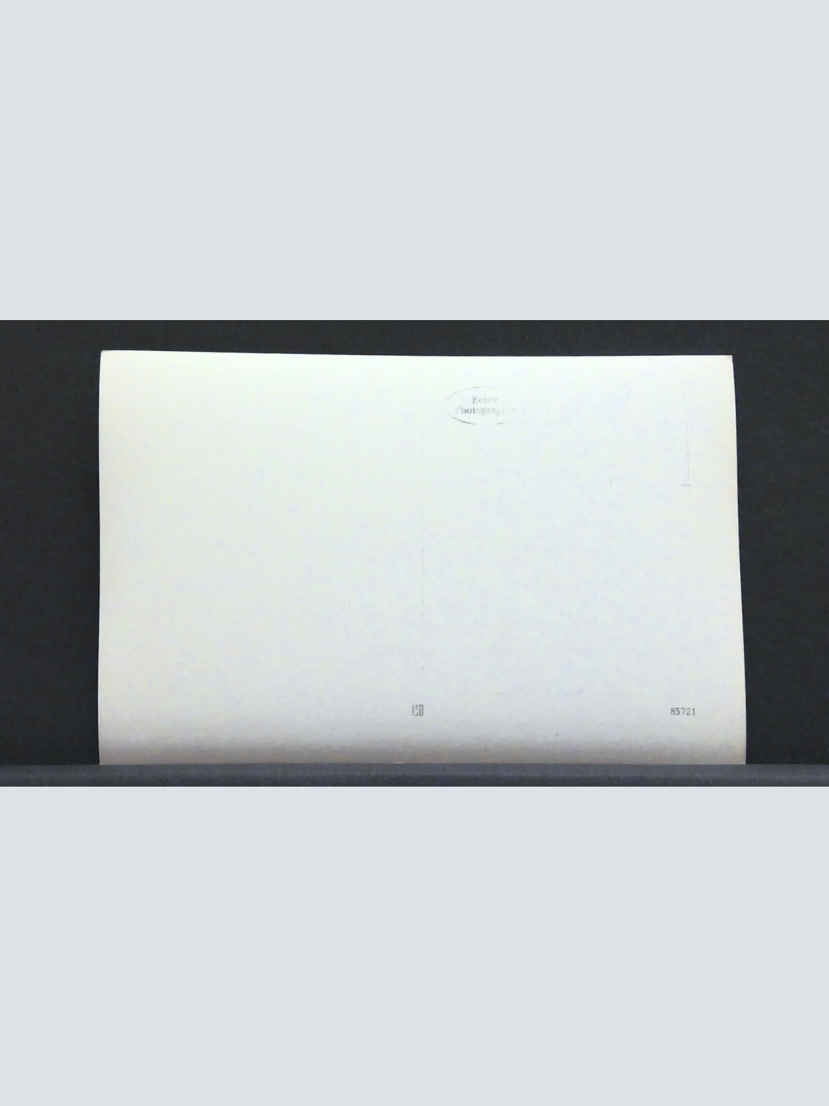 Geweihsammlung Jagd Jagdtrophäen JW 410198 F