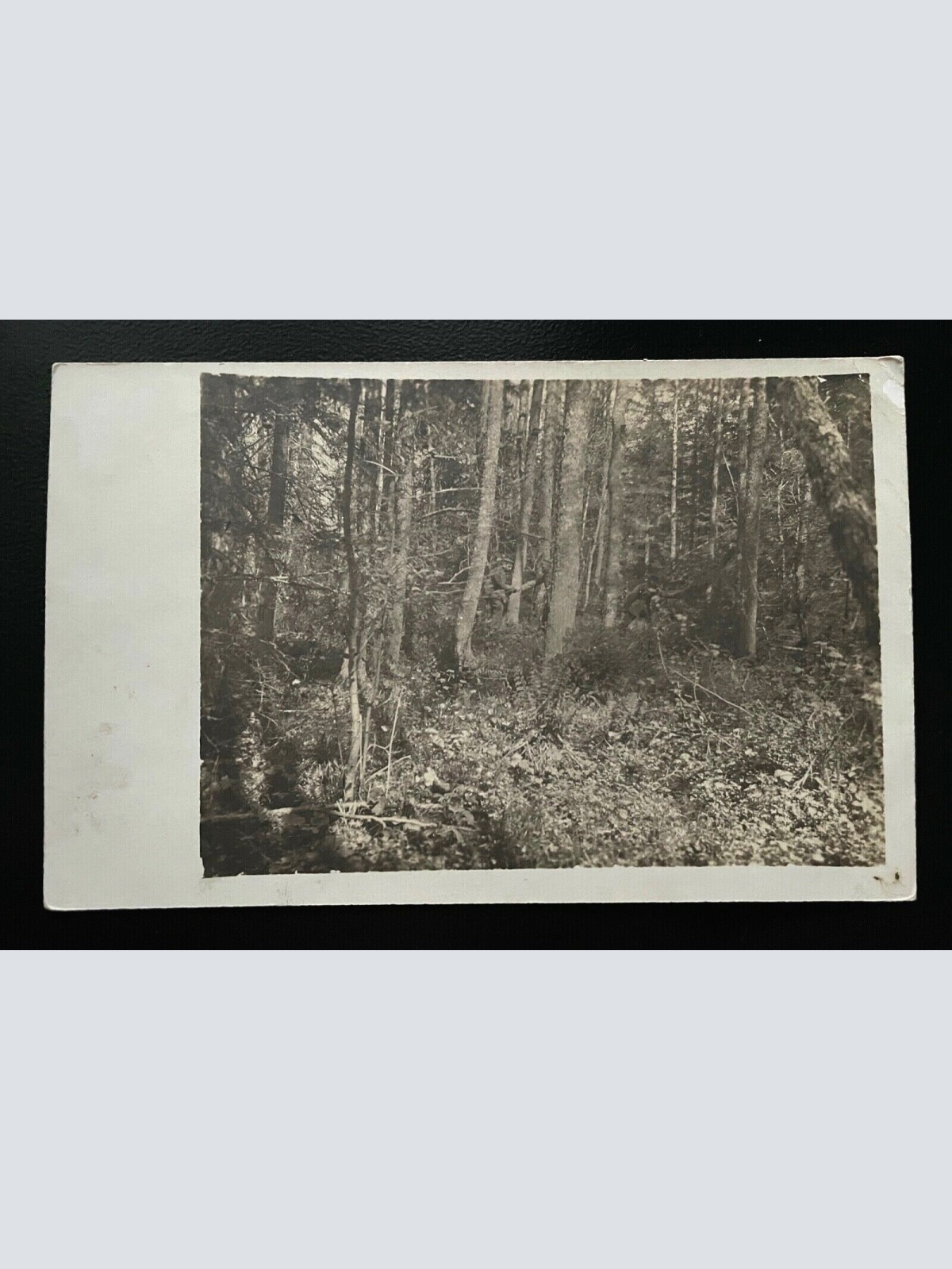 Wald Bäume Strauch Rastplatz Feldpostkarte Militär Krieg 402450  A