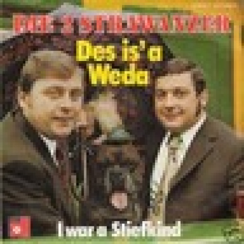Single / DIE 2 STRAWANZER / SELTEN /