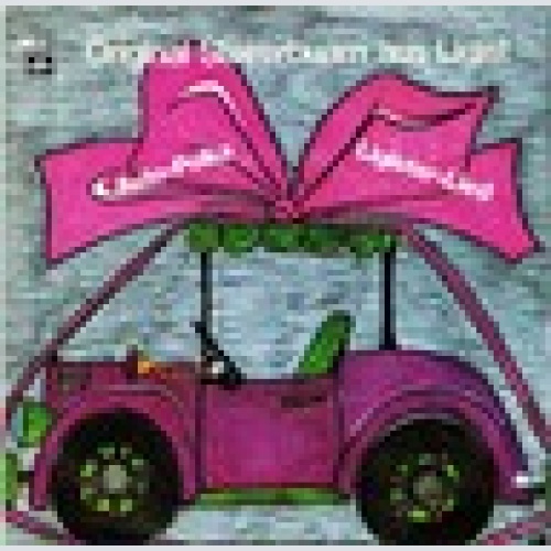 Single / ORIGINAL STEIRERBUAM AUS LIGIST / SELTEN /