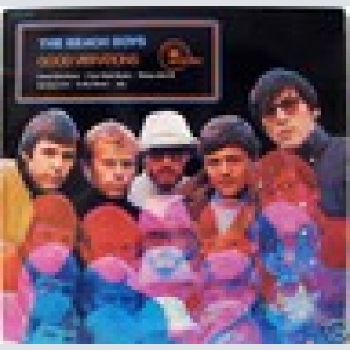 LP / THE BEACH BOYS  / SELTEN /