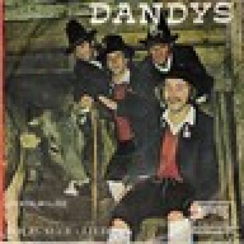 Single / DANDYS / Selten /