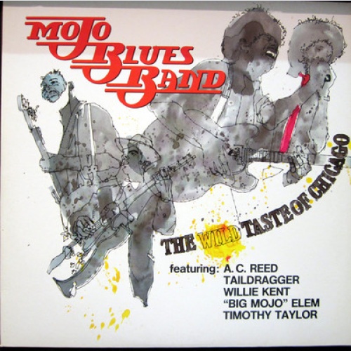 LP / MOJO BLUES BAND  / RARITÄT / AUSTRIA PRESSUNG /