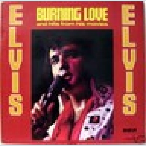 LP / ELVIS PRESLEY  / RARITÄT /