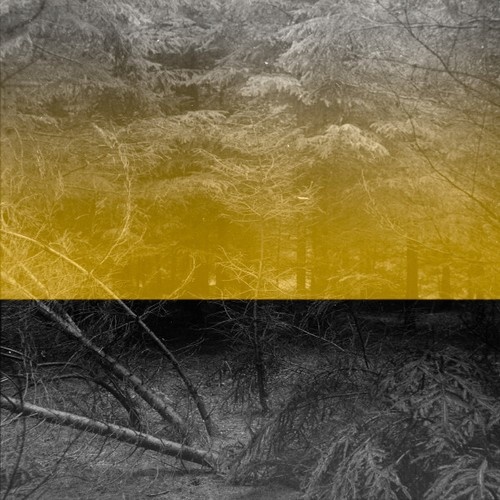 Evoilà - FIB (LP, Album)