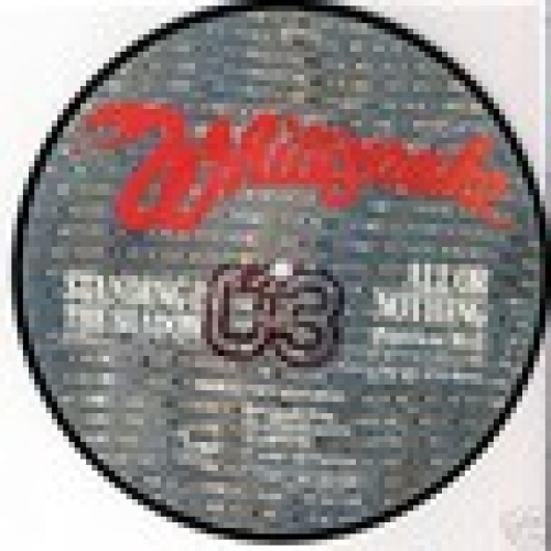 Single / WHITESNAKE /  PICTURE /  RARITÄT /